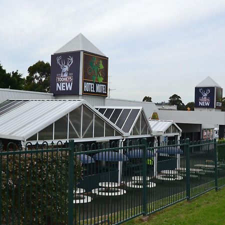 더 옥스 호텔 모텔 Albion Park 외부 사진